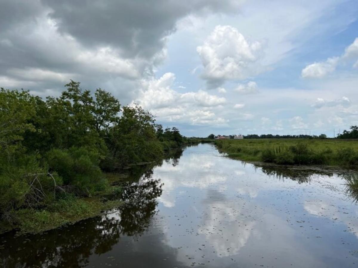 Picture of Residential Land For Sale in Sulphur, Louisiana, United States