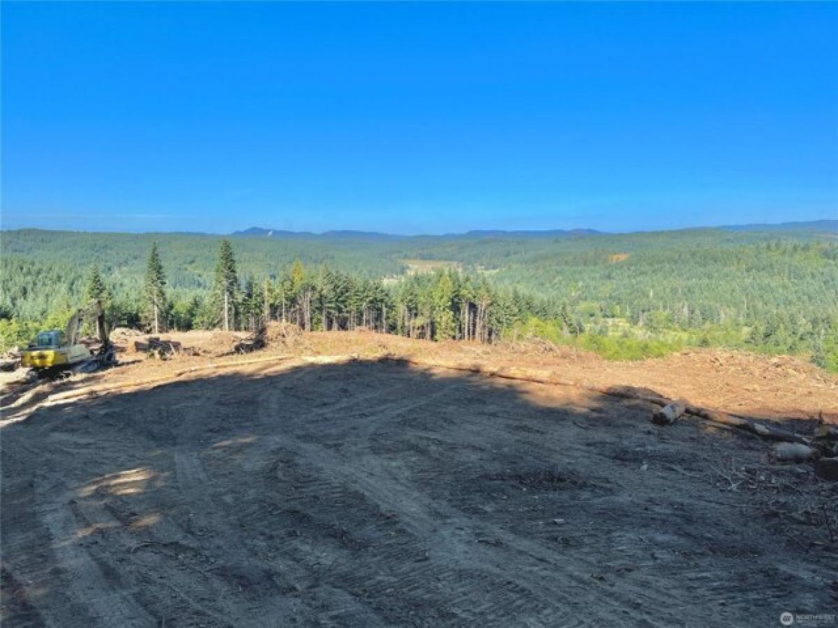 Picture of Residential Land For Sale in Centralia, Washington, United States