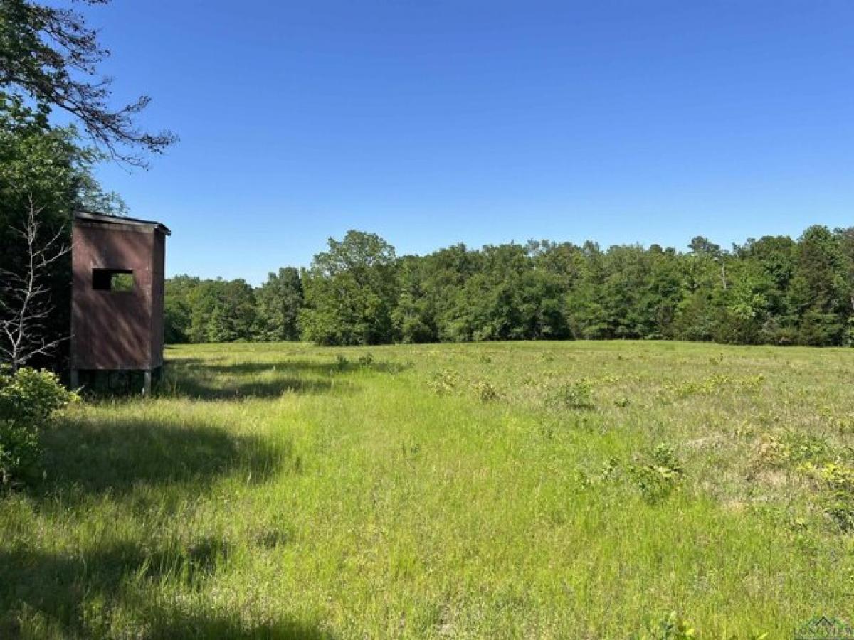 Picture of Residential Land For Sale in Naples, Texas, United States