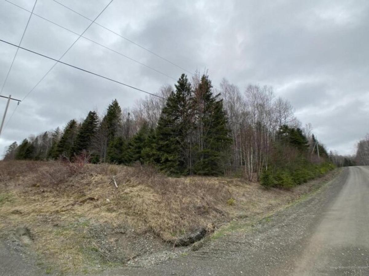 Picture of Residential Land For Sale in Fort Kent, Maine, United States