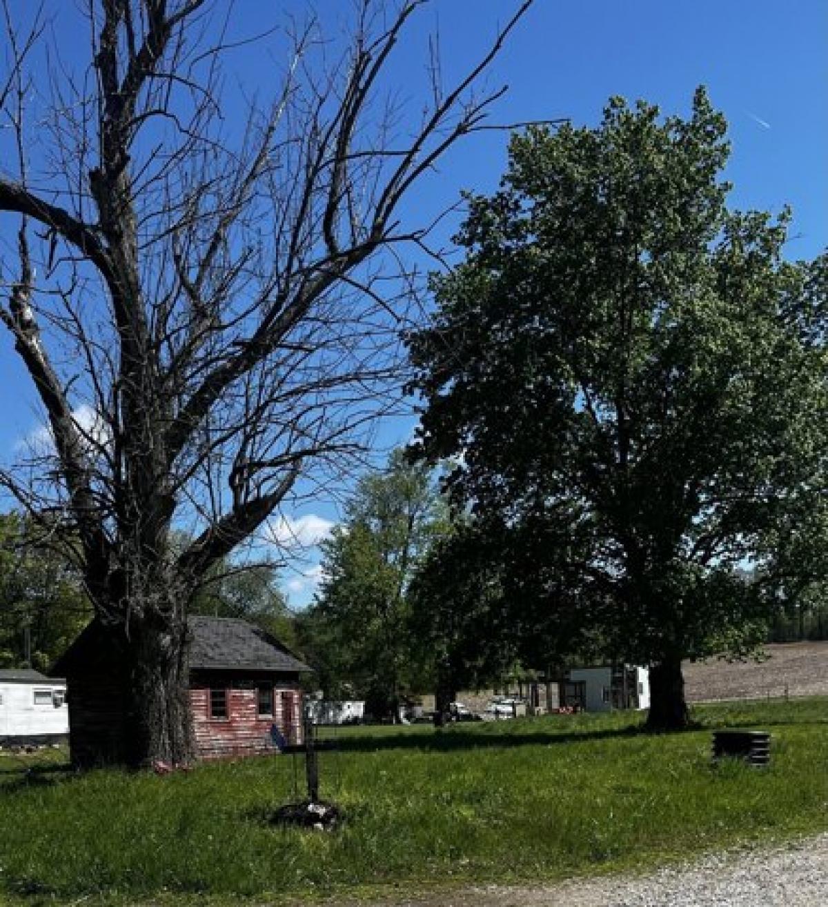 Picture of Residential Land For Sale in Rockville, Indiana, United States