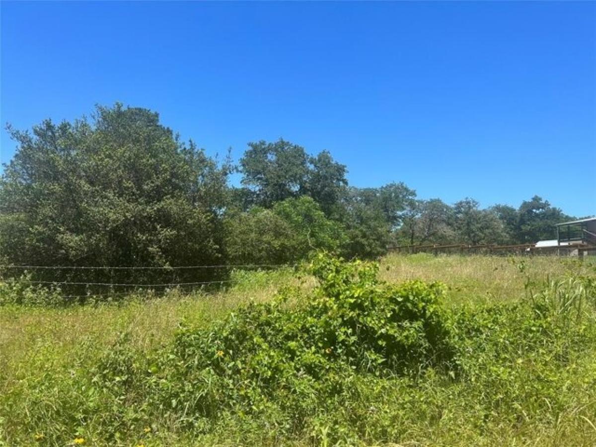 Picture of Residential Land For Sale in Smithville, Texas, United States