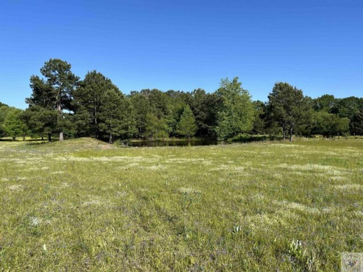 Picture of Residential Land For Sale in New Boston, Texas, United States