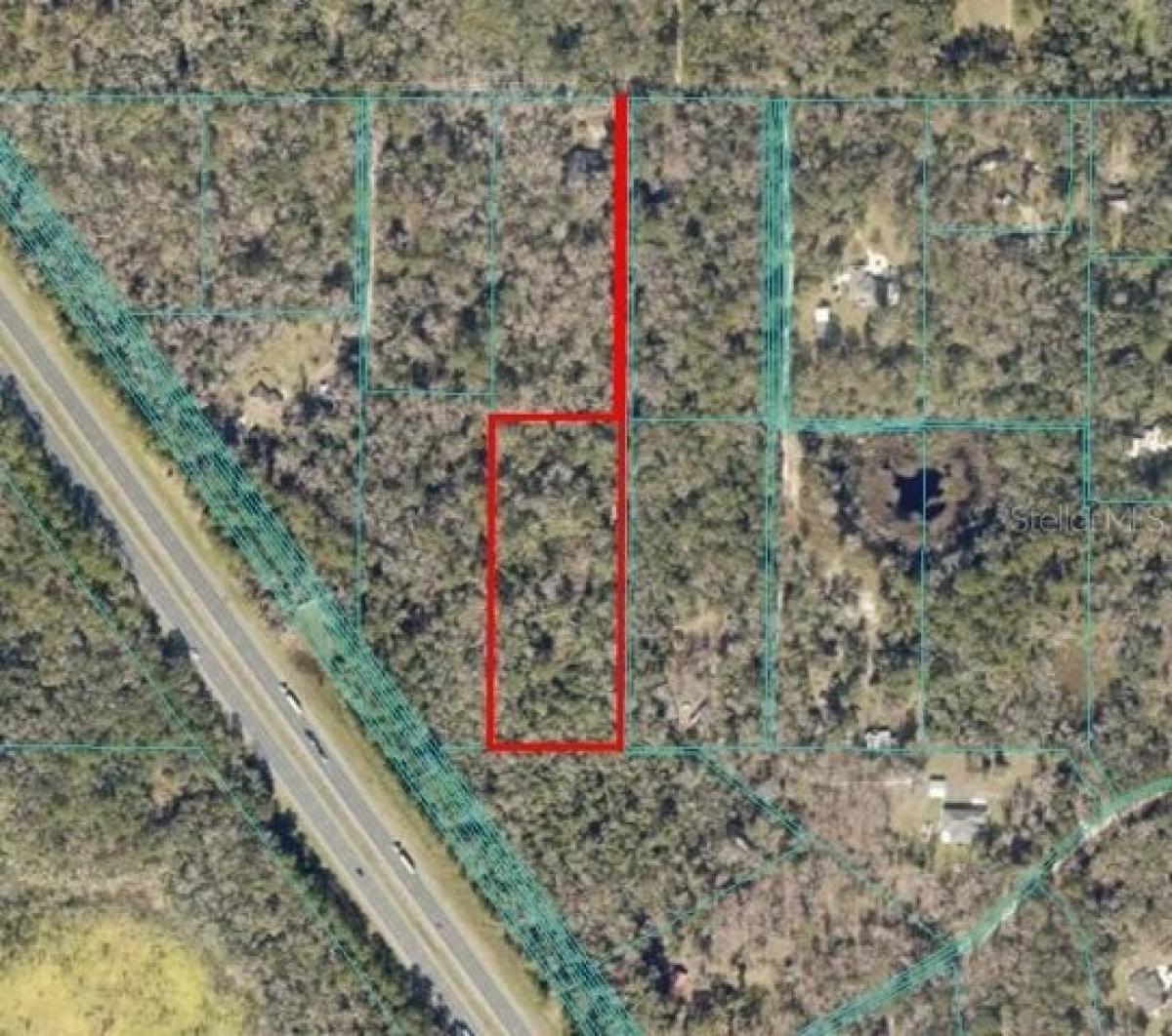 Picture of Residential Land For Sale in Micanopy, Florida, United States