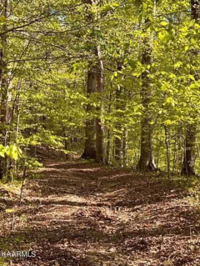 Residential Land For Sale in Rogersville, Tennessee