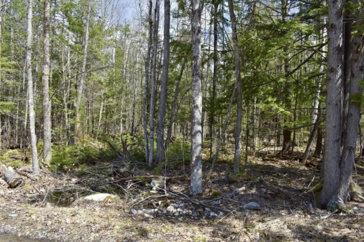 Picture of Residential Land For Sale in Detroit, Maine, United States