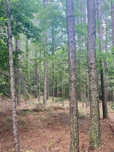 Residential Land For Sale in Glen, Mississippi