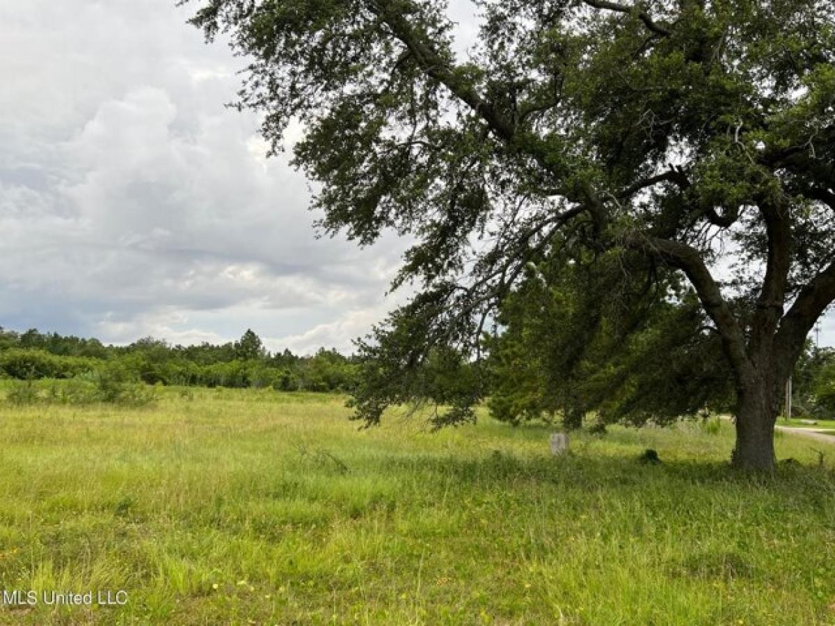 Picture of Residential Land For Sale in Pass Christian, Mississippi, United States