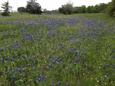 Residential Land For Sale in Schulenburg, Texas