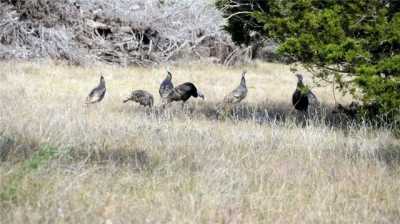 Residential Land For Sale in Fredericksburg, Texas