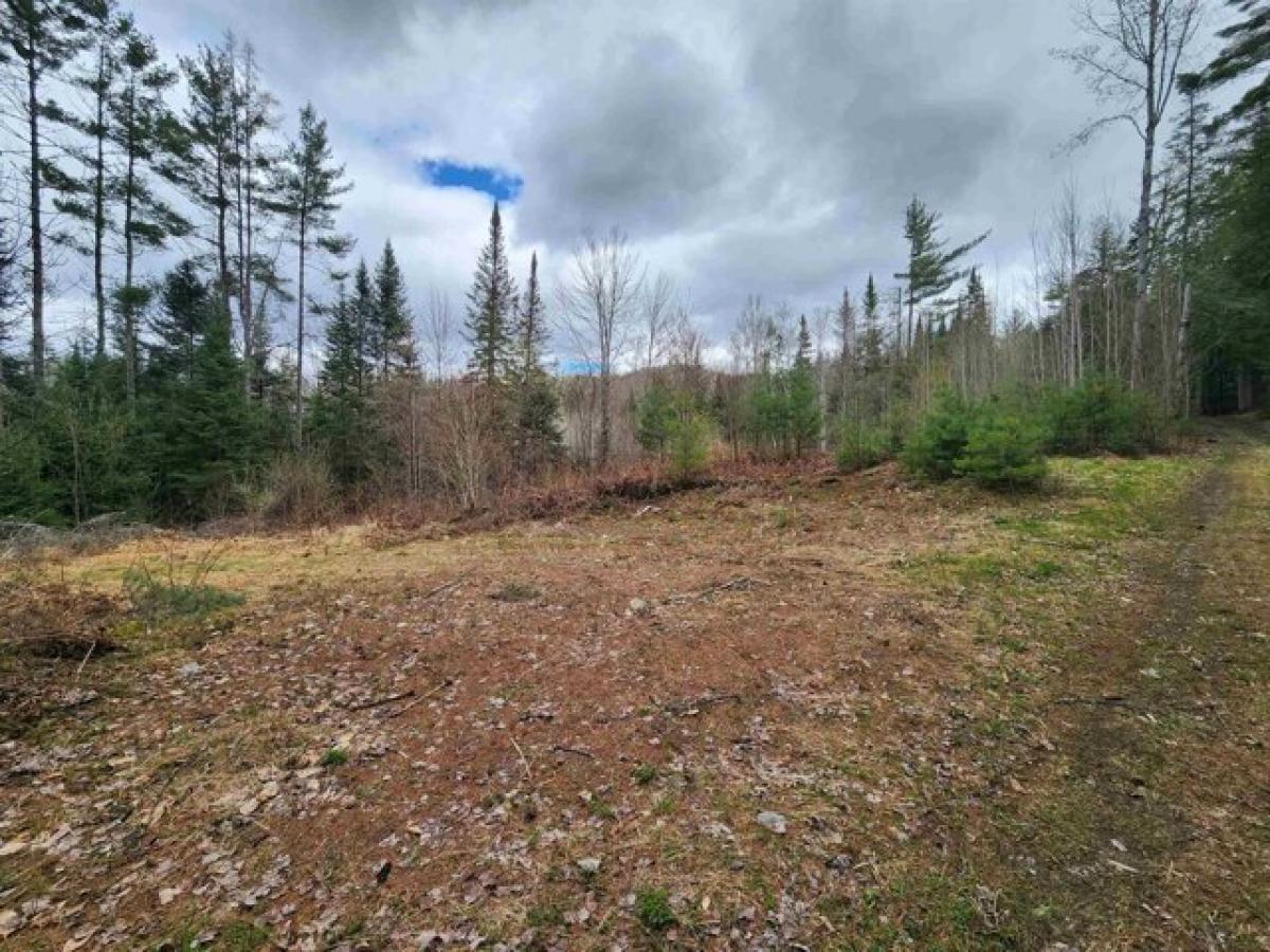 Picture of Residential Land For Sale in Dalton, New Hampshire, United States