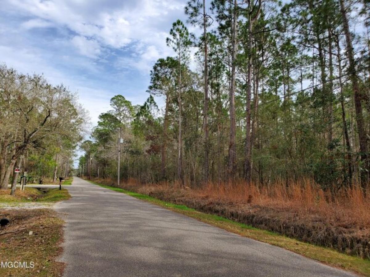 Picture of Residential Land For Sale in Bay Saint Louis, Mississippi, United States