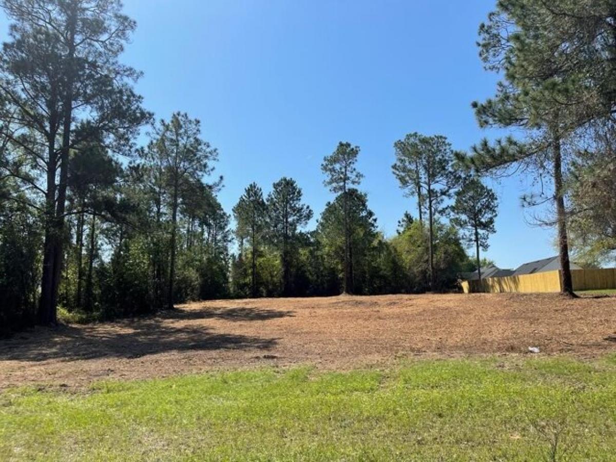 Picture of Residential Land For Sale in Lake Park, Georgia, United States