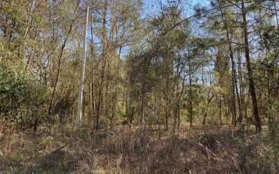 Residential Land For Sale in Live Oak, Florida