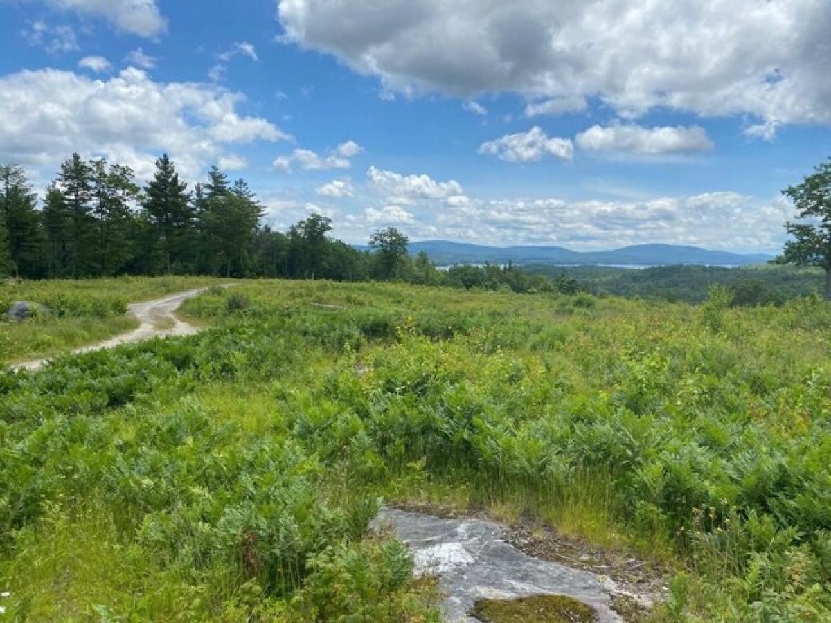 Picture of Residential Land For Sale in Sunapee, New Hampshire, United States