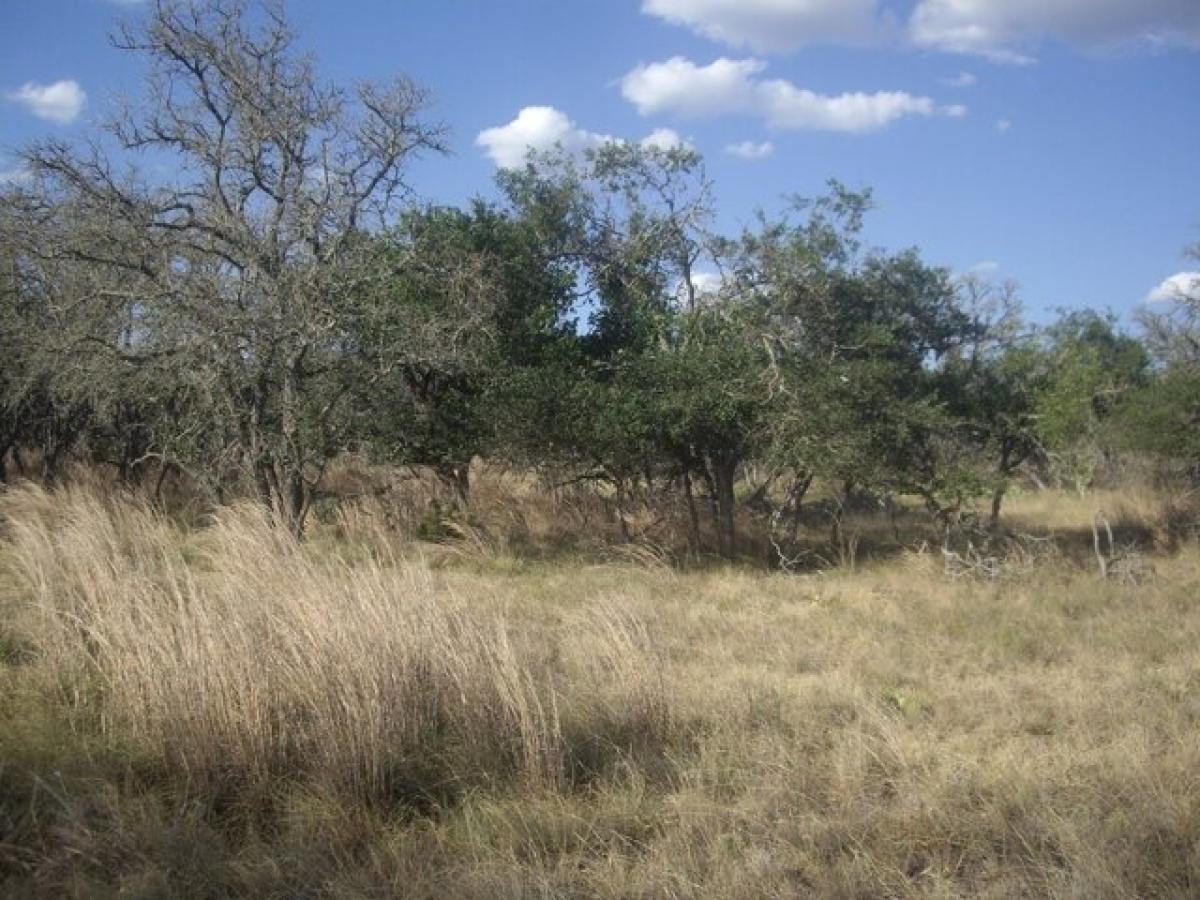 Picture of Residential Land For Sale in Harper, Texas, United States