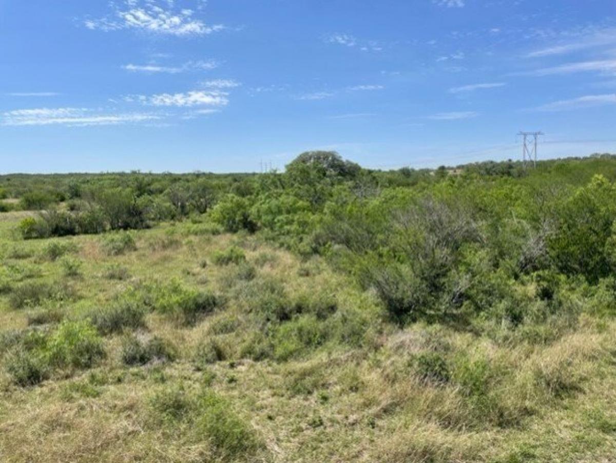 Picture of Residential Land For Sale in Beeville, Texas, United States