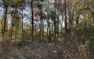 Residential Land For Sale in Live Oak, Florida