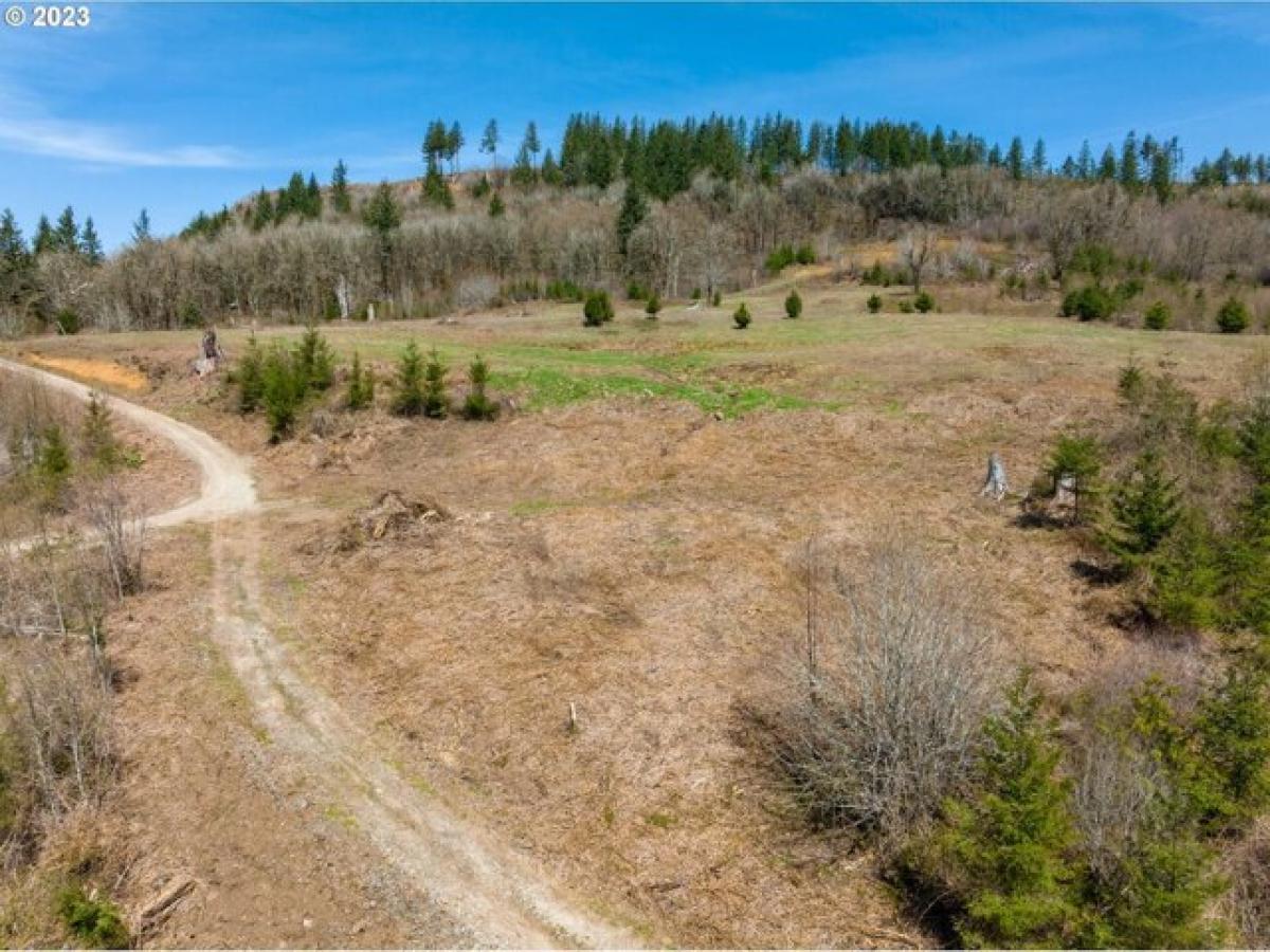Picture of Residential Land For Sale in Battle Ground, Washington, United States