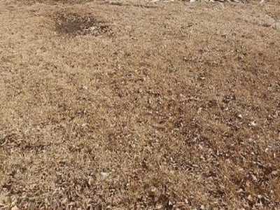 Residential Land For Sale in 