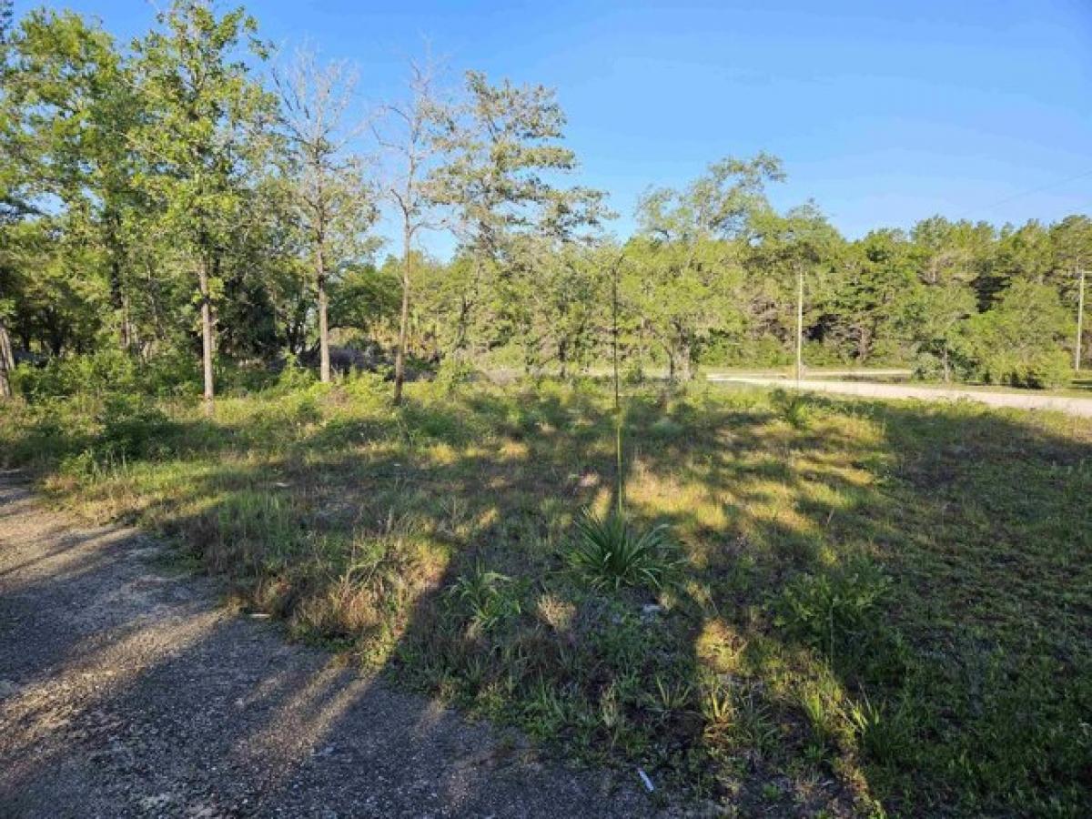 Picture of Residential Land For Sale in Perry, Florida, United States