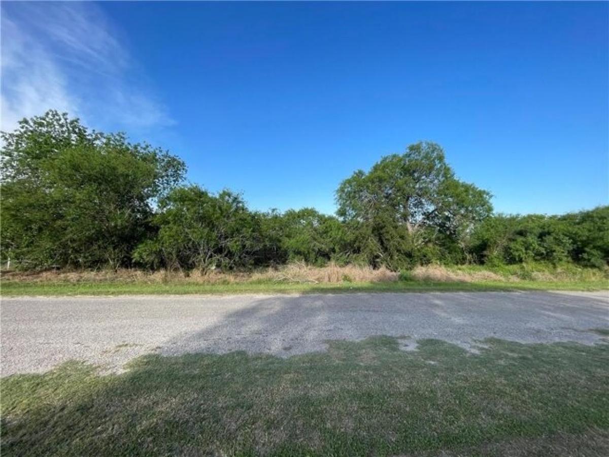 Picture of Residential Land For Sale in Mathis, Texas, United States