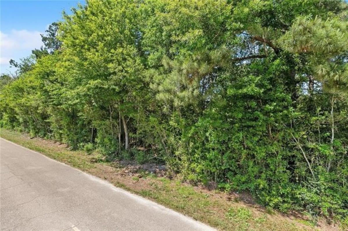 Picture of Residential Land For Sale in Loranger, Louisiana, United States