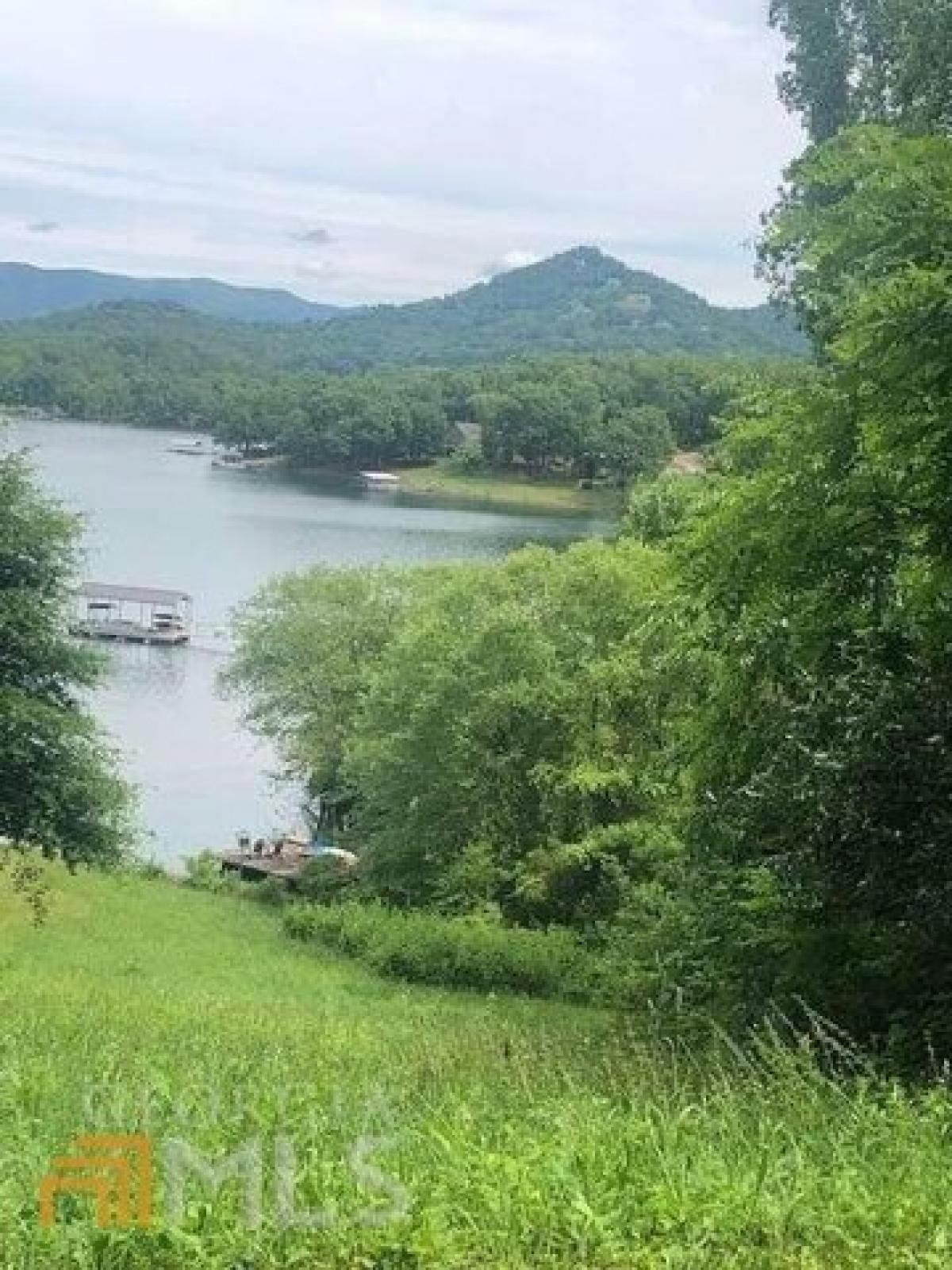 Picture of Residential Land For Sale in Hiawassee, Georgia, United States