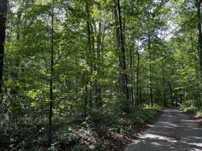 Residential Land For Sale in Chatsworth, Georgia