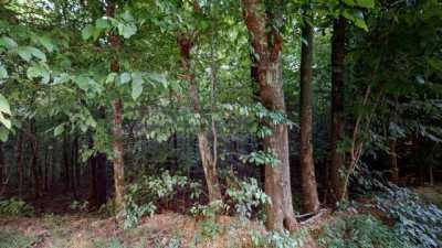 Residential Land For Sale in Westpoint, Tennessee