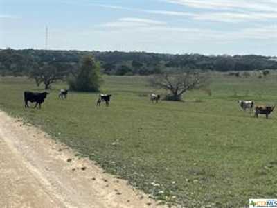 Residential Land For Sale in Briggs, Texas