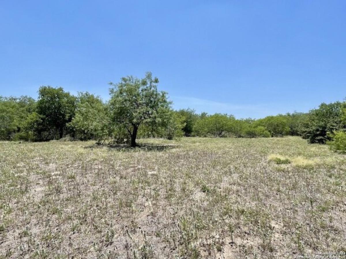 Picture of Residential Land For Sale in Beeville, Texas, United States