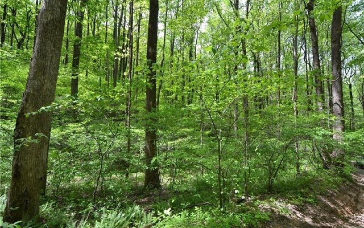 Picture of Residential Land For Sale in Talking Rock, Georgia, United States