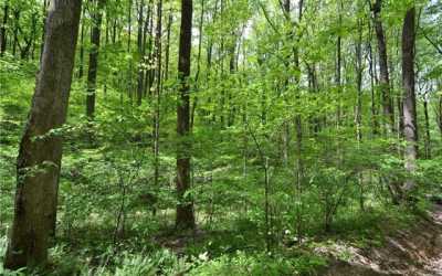 Residential Land For Sale in Talking Rock, Georgia