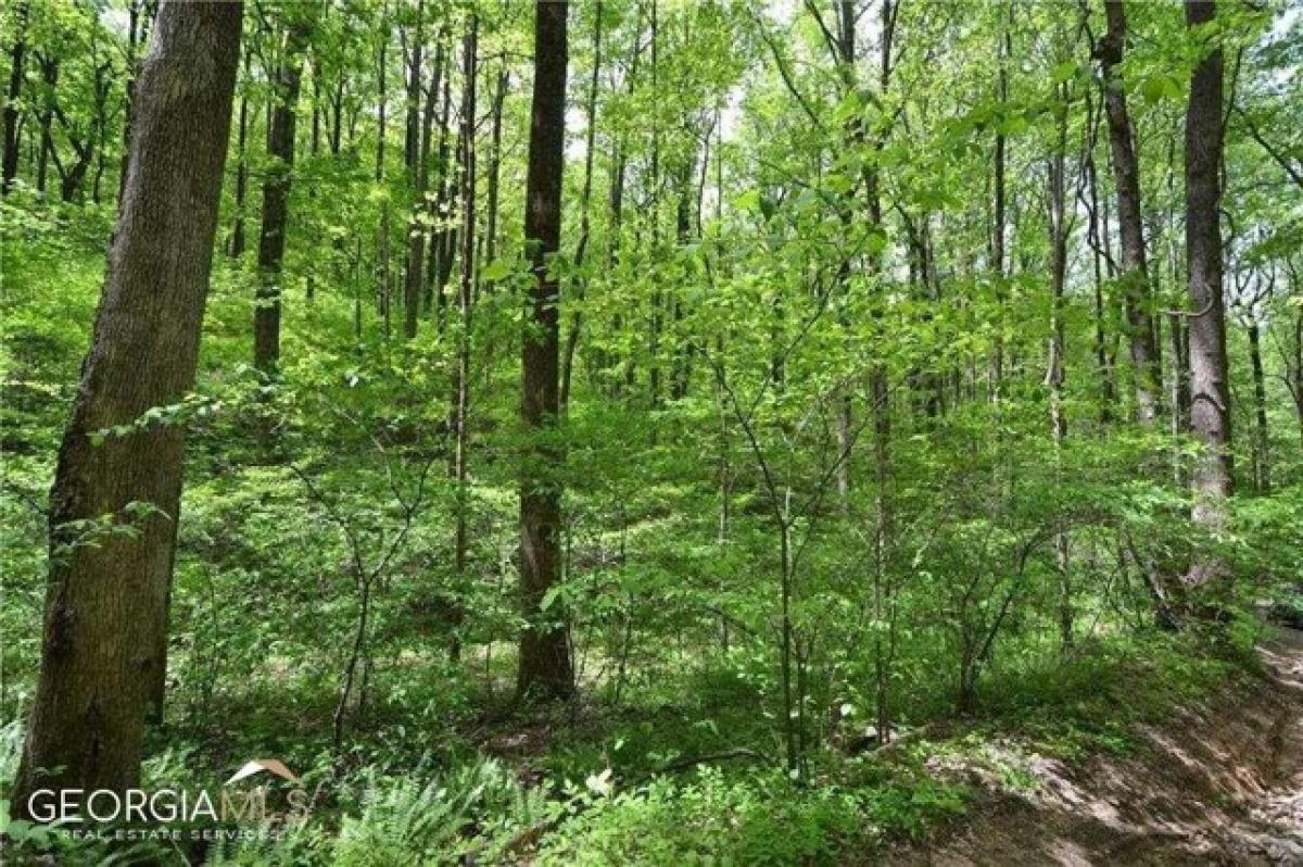 Picture of Residential Land For Sale in Talking Rock, Georgia, United States