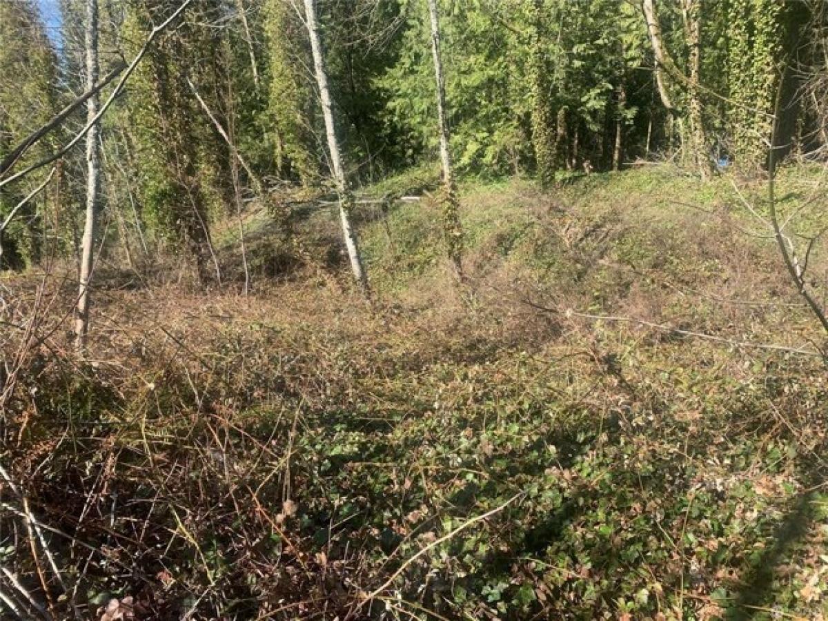 Picture of Residential Land For Sale in Everson, Washington, United States