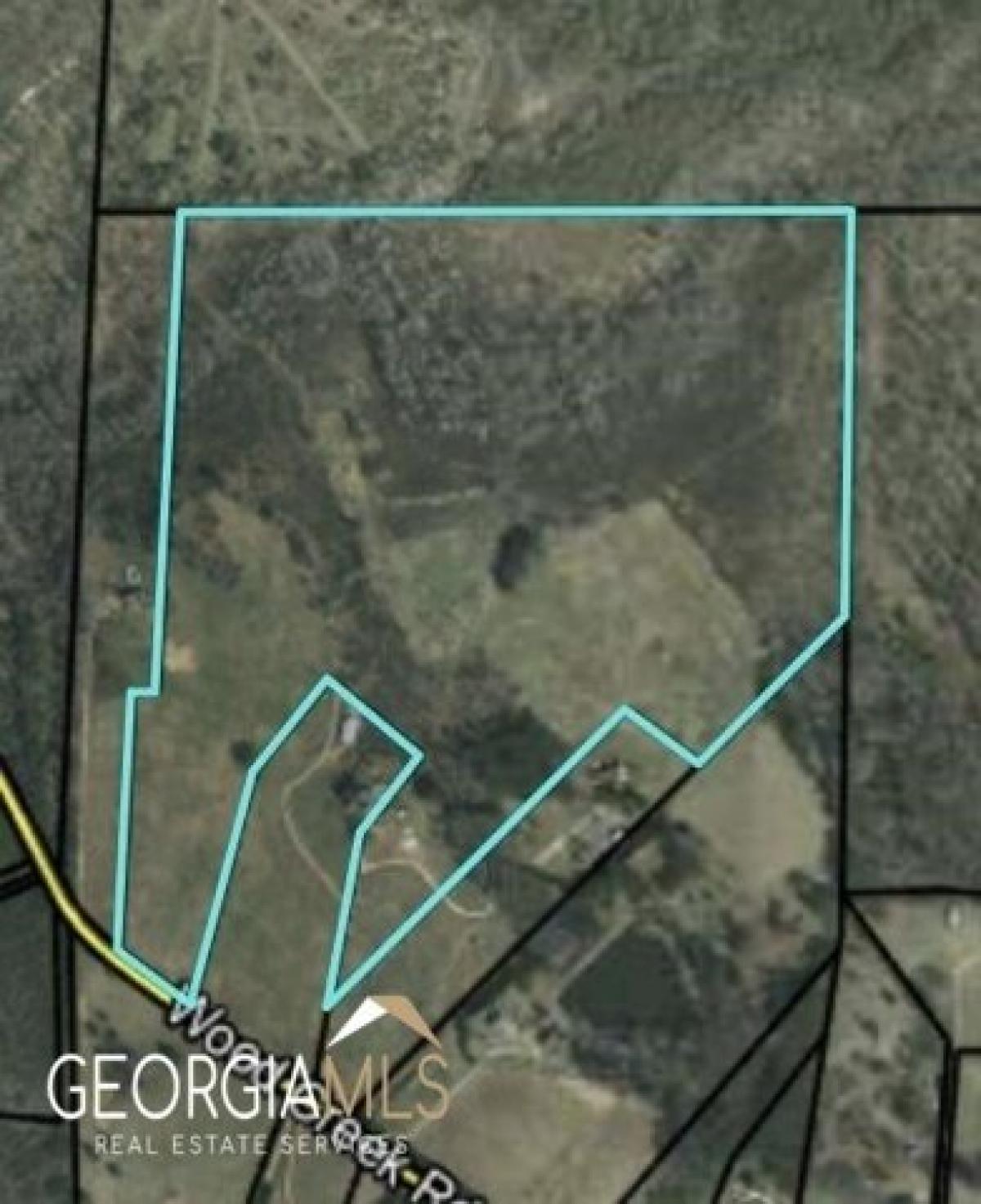 Picture of Residential Land For Sale in Williamson, Georgia, United States