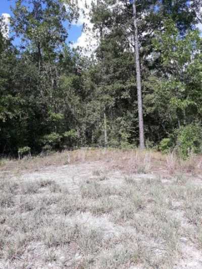 Residential Land For Sale in Bell, Florida