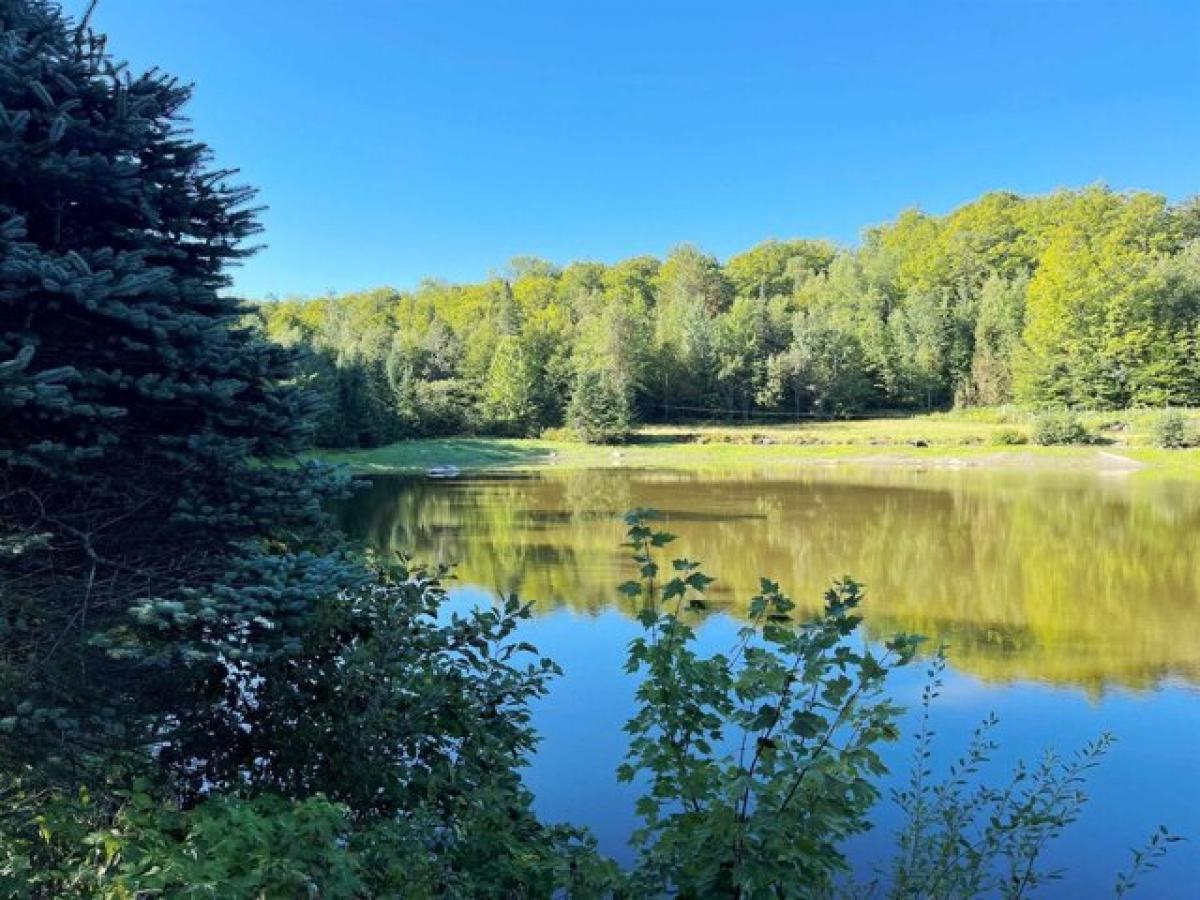 Picture of Residential Land For Sale in Derby, Vermont, United States