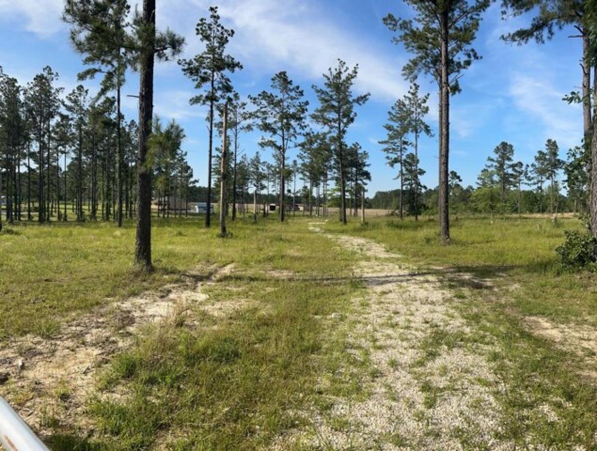 Picture of Residential Land For Sale in Sugartown, Louisiana, United States