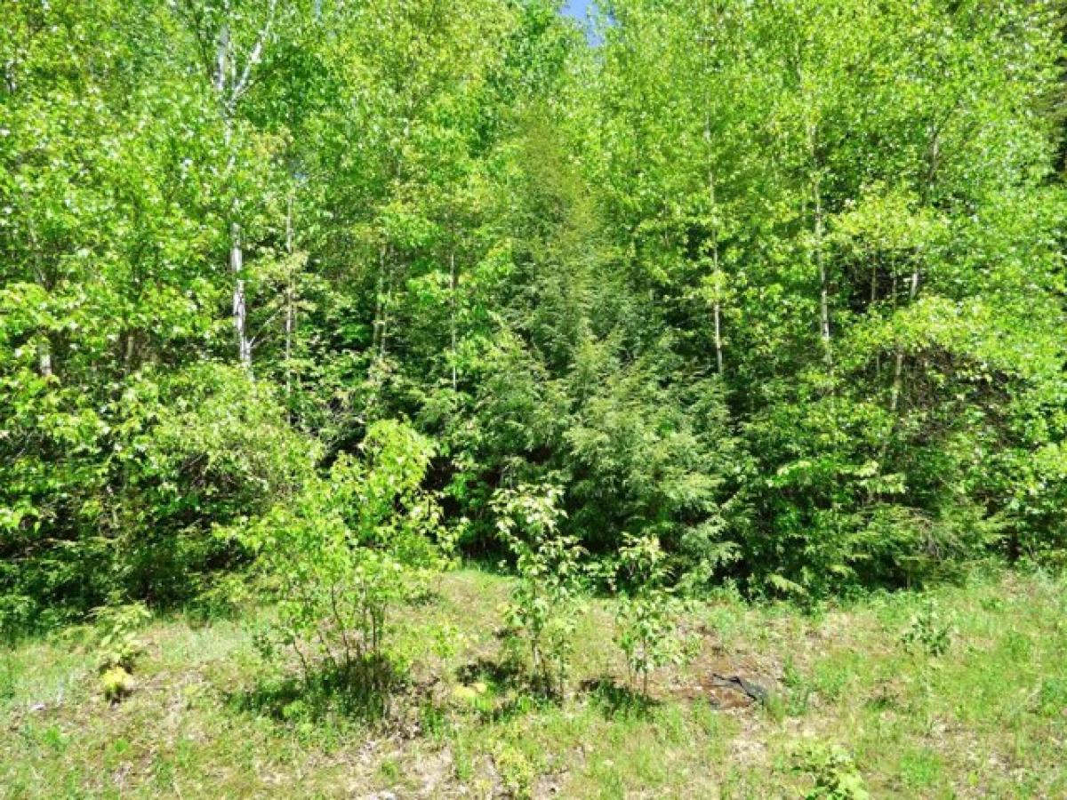 Picture of Residential Land For Sale in Derby, Vermont, United States