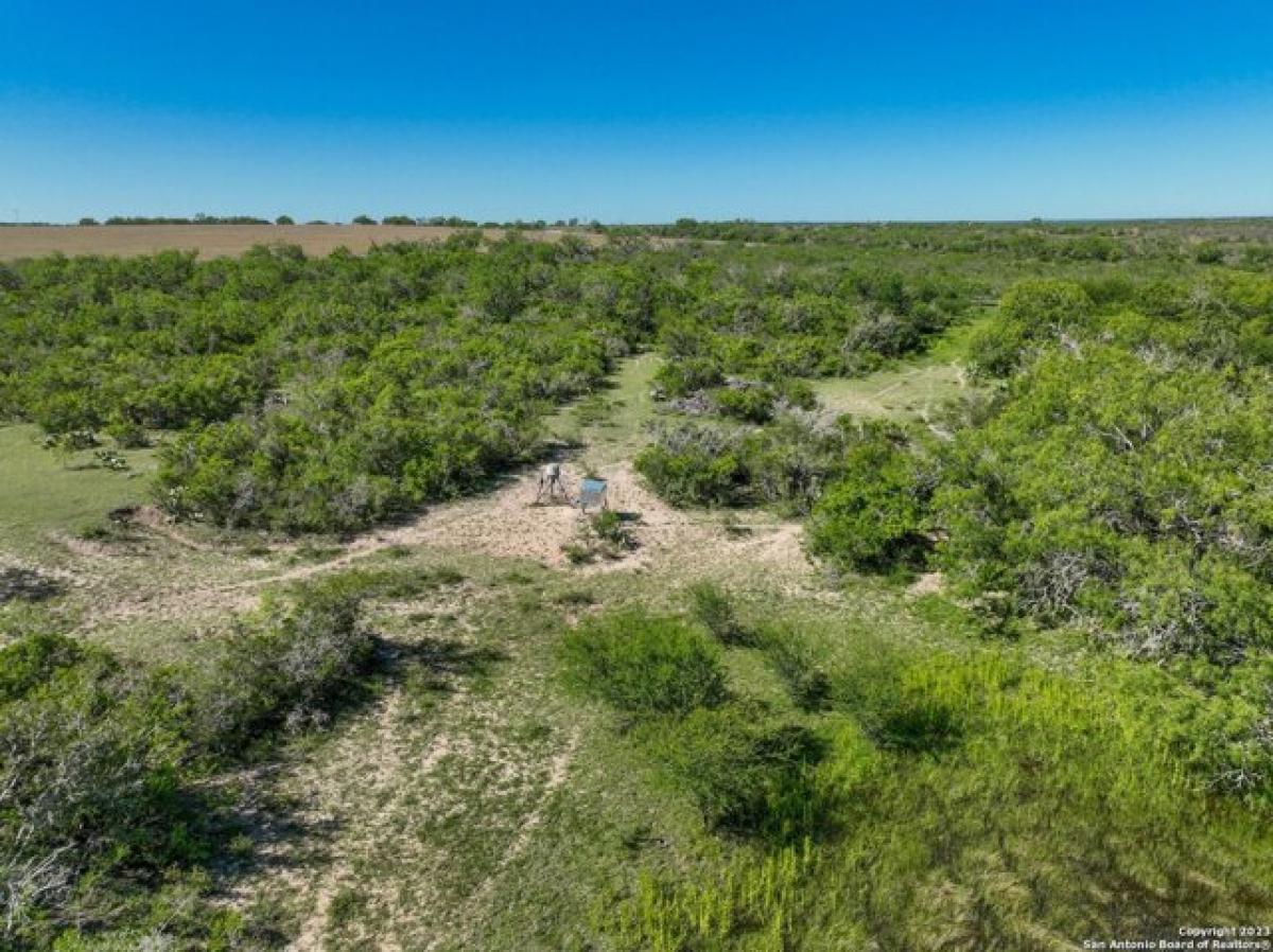 Picture of Residential Land For Sale in Kenedy, Texas, United States