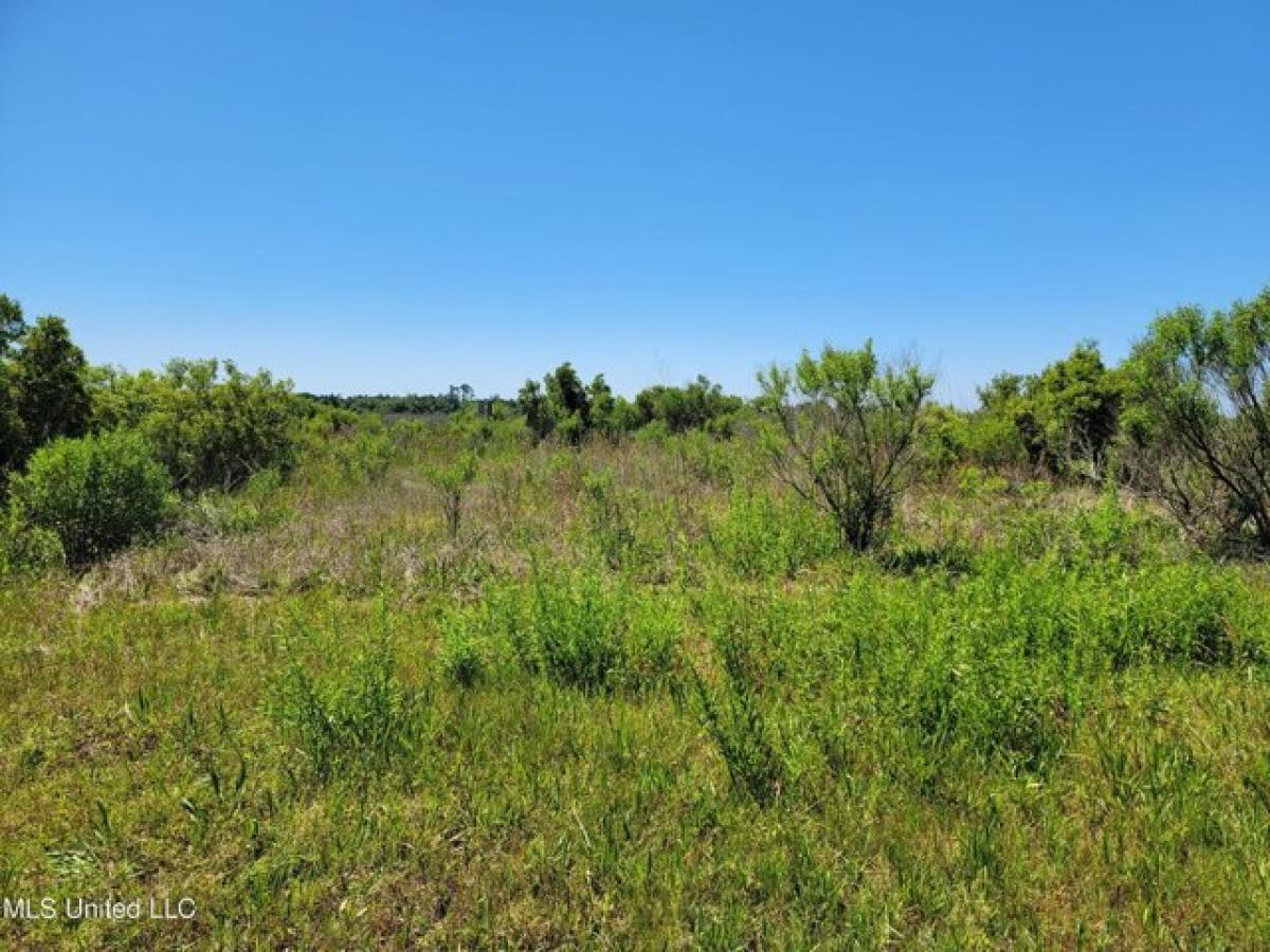 Picture of Residential Land For Sale in Bay Saint Louis, Mississippi, United States