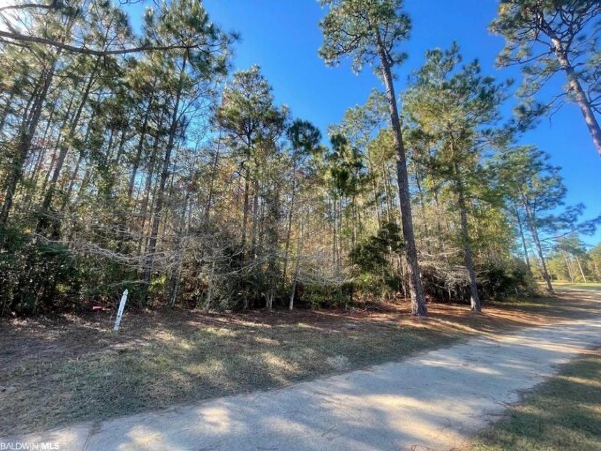 Picture of Residential Land For Sale in Loxley, Alabama, United States