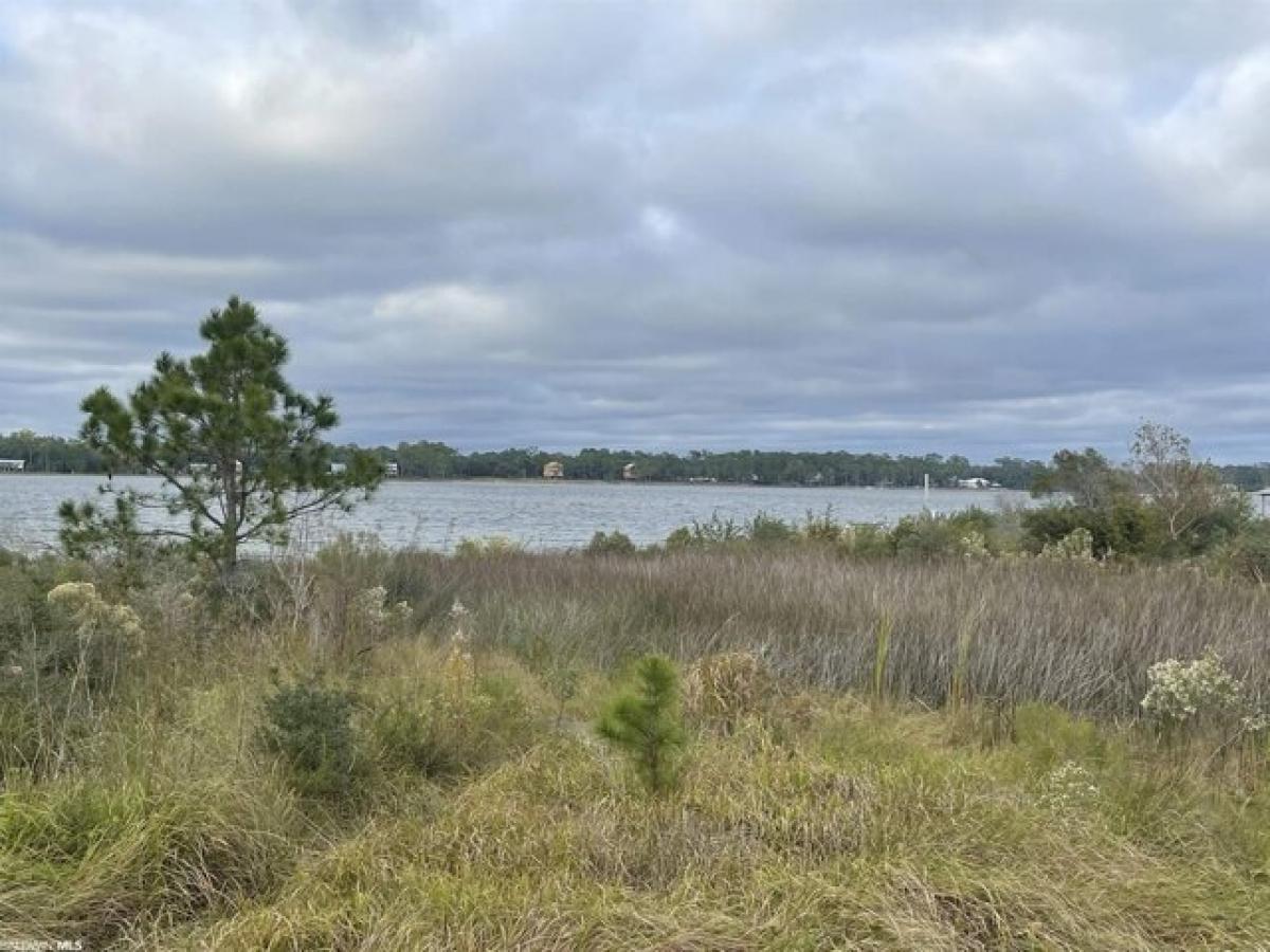 Picture of Residential Land For Sale in Gulf Shores, Alabama, United States