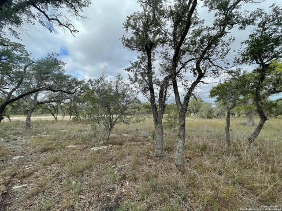 Picture of Residential Land For Sale in Bulverde, Texas, United States