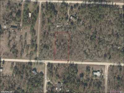 Residential Land For Sale in Morriston, Florida