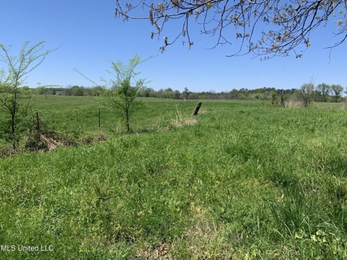 Picture of Residential Land For Sale in Hernando, Mississippi, United States