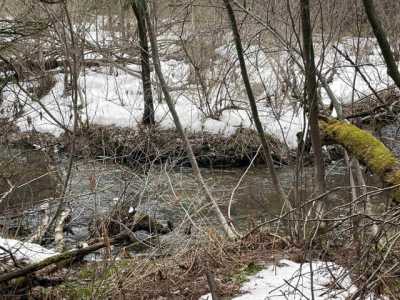 Residential Land For Sale in Derby, Vermont