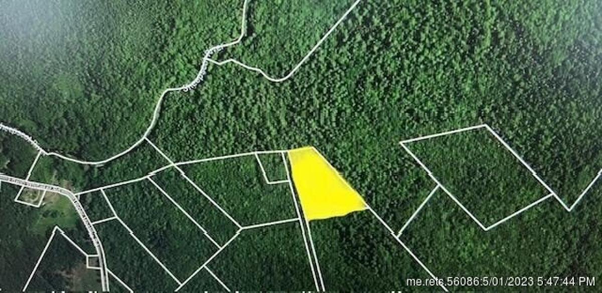 Picture of Residential Land For Sale in Liberty, Maine, United States